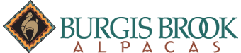 Burgis Brook Alpacas