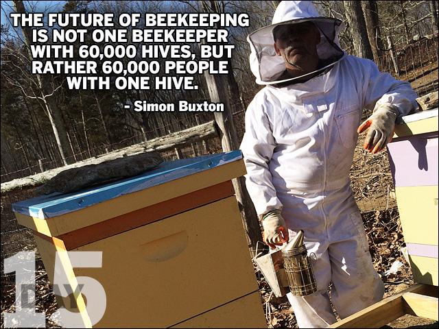 Helping bees, a hive at a time!