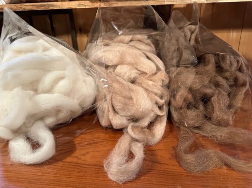 Natural Color Roving