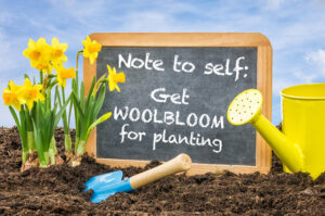 Garden message on checkboard to remind to get WoolBloom for planting.