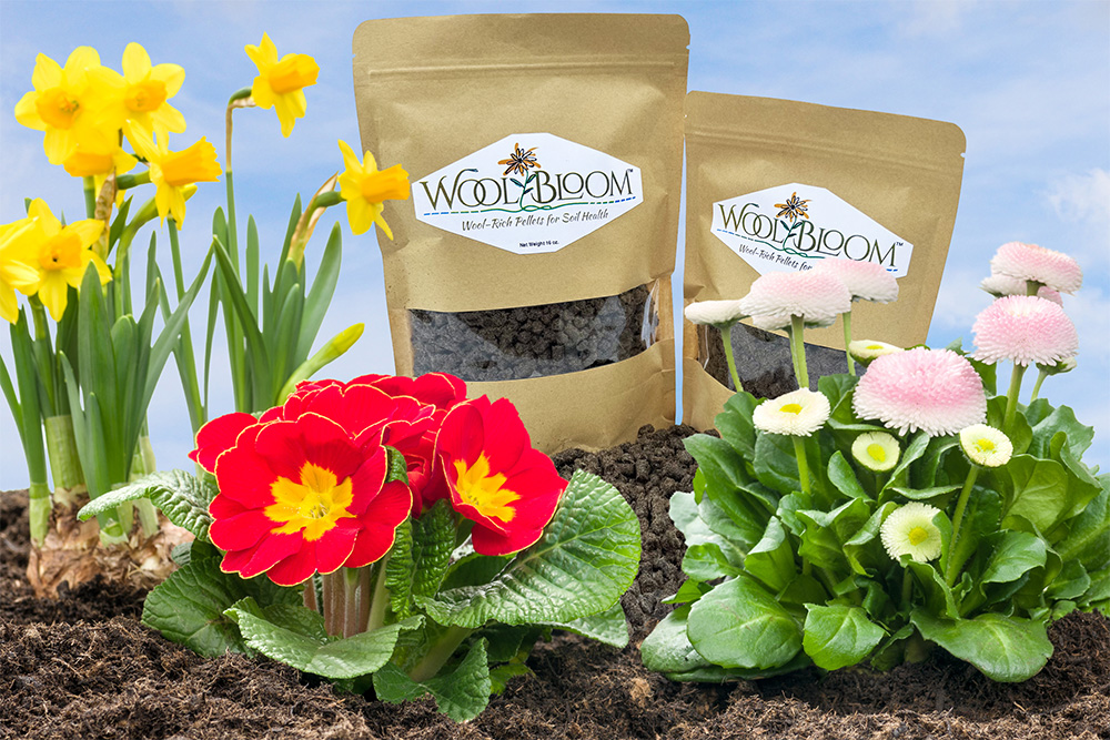 WoolBloom™ Brings Soil to Life