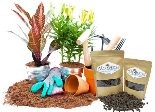 Wool Bloom Planters